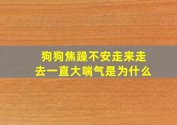 狗狗焦躁不安走来走去一直大喘气是为什么