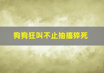 狗狗狂叫不止抽搐猝死