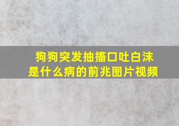 狗狗突发抽搐口吐白沫是什么病的前兆图片视频