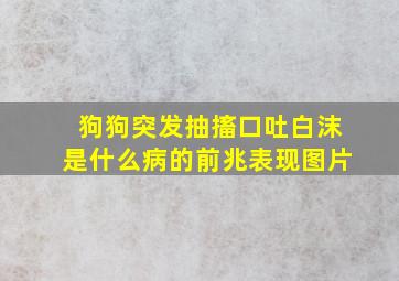 狗狗突发抽搐口吐白沫是什么病的前兆表现图片