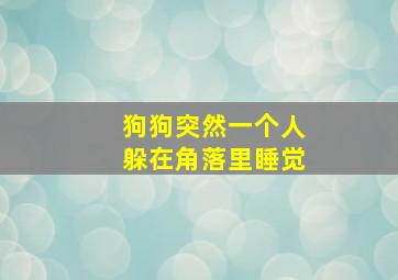 狗狗突然一个人躲在角落里睡觉