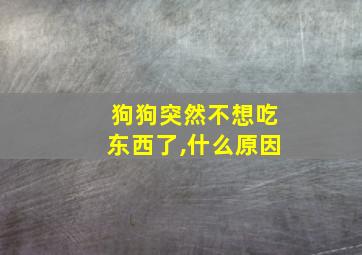 狗狗突然不想吃东西了,什么原因