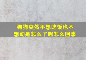 狗狗突然不想吃饭也不想动是怎么了呢怎么回事