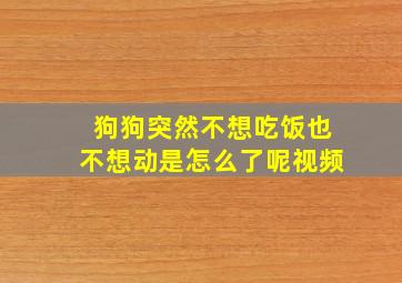 狗狗突然不想吃饭也不想动是怎么了呢视频