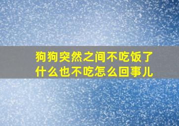 狗狗突然之间不吃饭了什么也不吃怎么回事儿