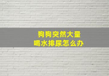 狗狗突然大量喝水排尿怎么办