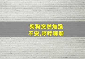 狗狗突然焦躁不安,哼哼唧唧