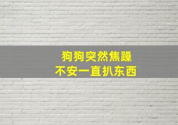 狗狗突然焦躁不安一直扒东西