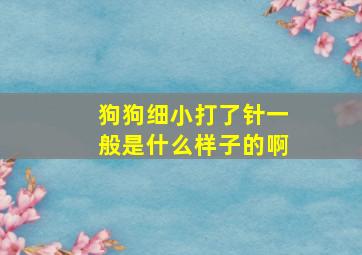 狗狗细小打了针一般是什么样子的啊