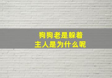 狗狗老是躲着主人是为什么呢