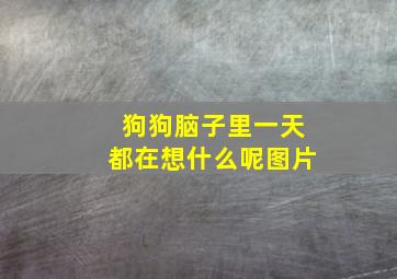 狗狗脑子里一天都在想什么呢图片