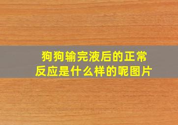 狗狗输完液后的正常反应是什么样的呢图片