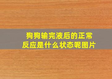 狗狗输完液后的正常反应是什么状态呢图片