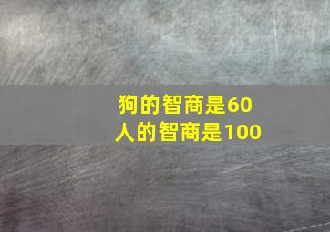 狗的智商是60人的智商是100