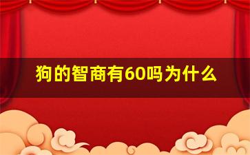 狗的智商有60吗为什么