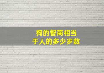 狗的智商相当于人的多少岁数