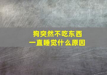 狗突然不吃东西一直睡觉什么原因