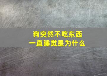 狗突然不吃东西一直睡觉是为什么