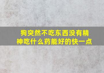 狗突然不吃东西没有精神吃什么药能好的快一点