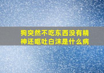 狗突然不吃东西没有精神还呕吐白沫是什么病