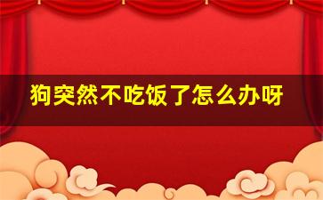 狗突然不吃饭了怎么办呀