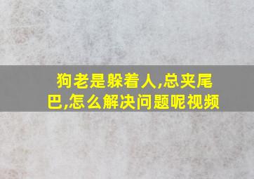 狗老是躲着人,总夹尾巴,怎么解决问题呢视频