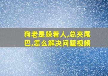 狗老是躲着人,总夹尾巴,怎么解决问题视频