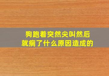 狗跑着突然尖叫然后就瘸了什么原因造成的