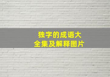 独字的成语大全集及解释图片