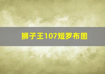 狮子王107短罗布图