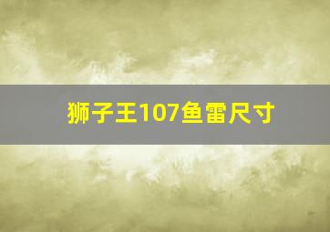 狮子王107鱼雷尺寸