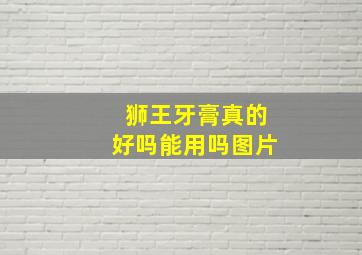 狮王牙膏真的好吗能用吗图片