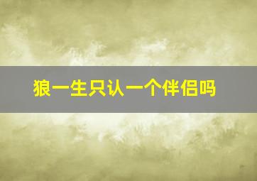 狼一生只认一个伴侣吗