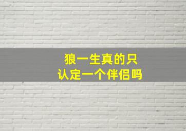 狼一生真的只认定一个伴侣吗