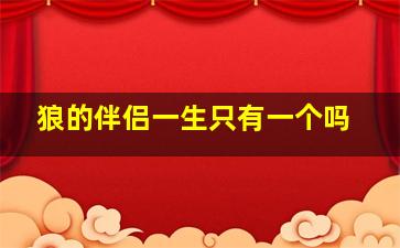 狼的伴侣一生只有一个吗