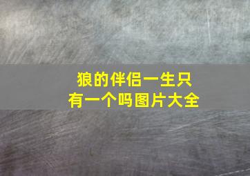 狼的伴侣一生只有一个吗图片大全