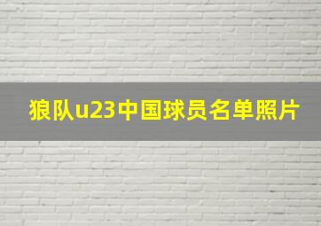 狼队u23中国球员名单照片