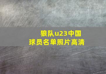 狼队u23中国球员名单照片高清