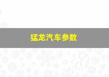 猛龙汽车参数