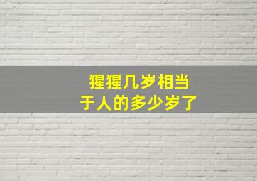 猩猩几岁相当于人的多少岁了