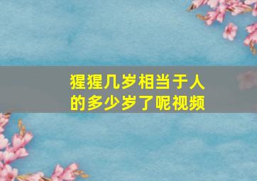 猩猩几岁相当于人的多少岁了呢视频