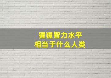 猩猩智力水平相当于什么人类