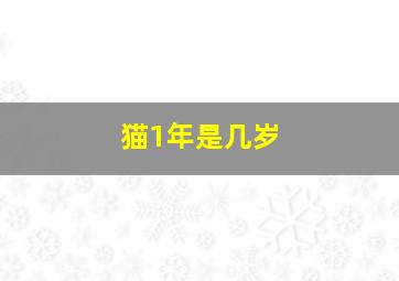 猫1年是几岁