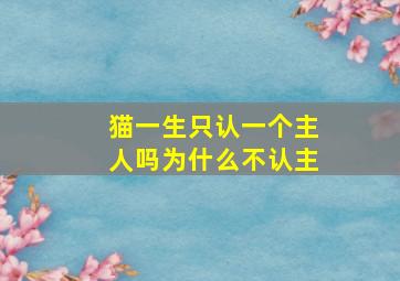 猫一生只认一个主人吗为什么不认主