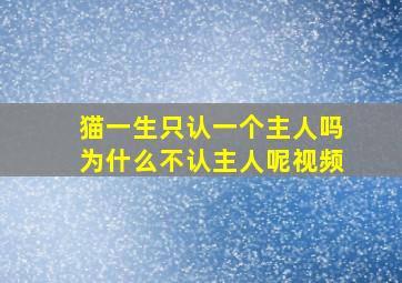 猫一生只认一个主人吗为什么不认主人呢视频