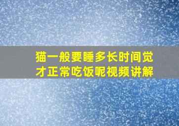 猫一般要睡多长时间觉才正常吃饭呢视频讲解