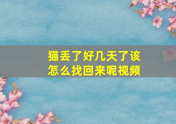 猫丢了好几天了该怎么找回来呢视频