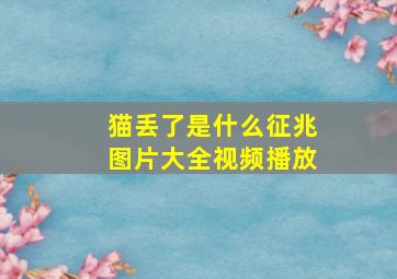 猫丢了是什么征兆图片大全视频播放