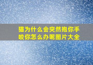 猫为什么会突然抱你手咬你怎么办呢图片大全