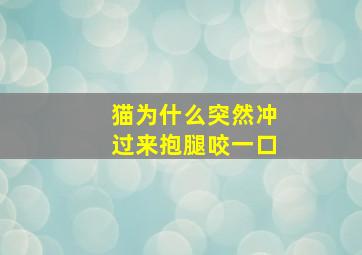 猫为什么突然冲过来抱腿咬一口